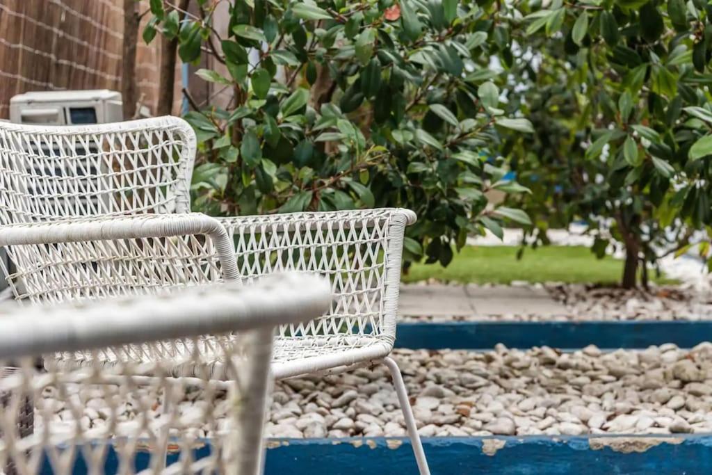 Inlapa Studio IV Porto Garden View エクステリア 写真